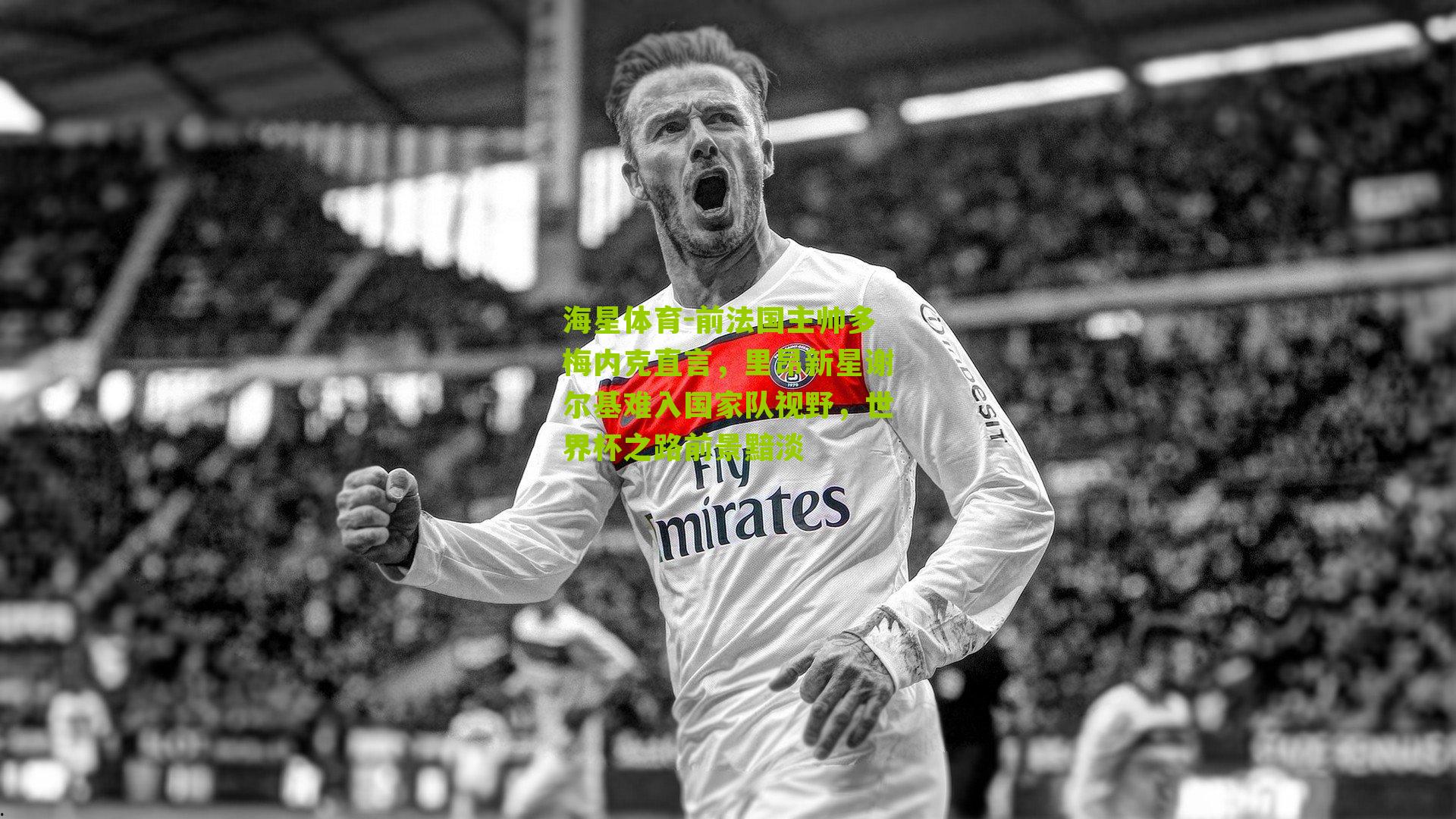 前法国主帅多梅内克直言，里昂新星谢尔基难入国家队视野，世界杯之路前景黯淡